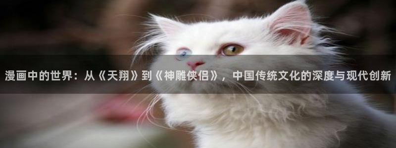陛下是我的51漫画漫画全集免费
