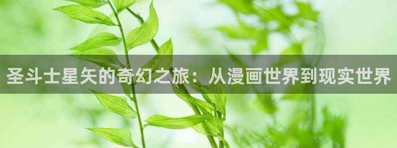日51漫画画软件app：圣斗士星矢的奇幻之旅：从漫画世界到现实世界