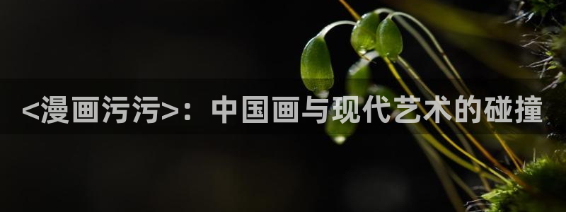 51漫画无遮挡免费漫画：<漫画污污>：中国画与现代艺术的碰撞