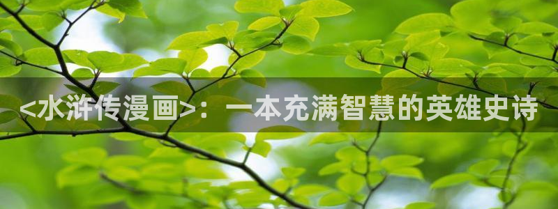 51漫画在线观看漫画全集：<水浒传漫画>：一本充满智慧的英雄史诗
