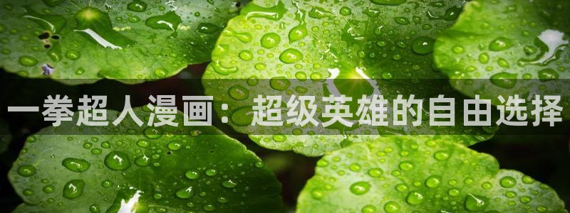 日51漫画画邪恶：一拳超人漫画：超级英雄的自由选择