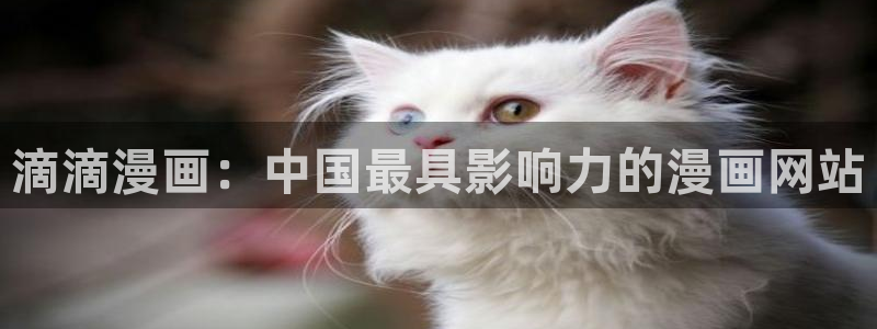 51漫画系列漫画大全：滴滴漫画：中国最具影响力的漫画网站