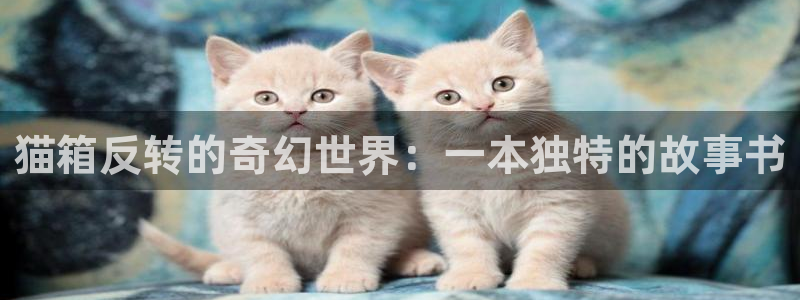 免费51漫画观看网址推荐：猫箱反转的奇幻世界：一本独特的故事书