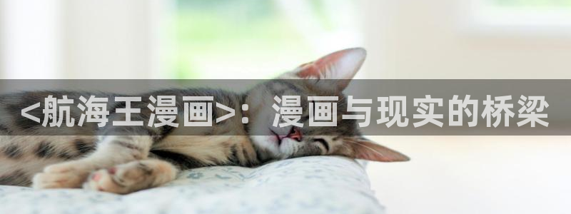 51漫画继母与继ji漫画：<航海王漫画>：漫画与现实的桥梁