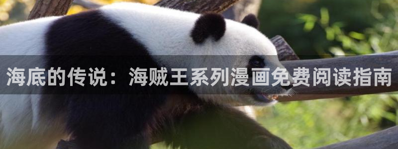 51漫画免费观看完整版下拉式：海底的传说：海贼王系列漫画免费阅读指南