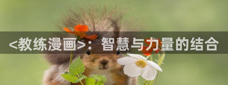yy51漫画免费漫画