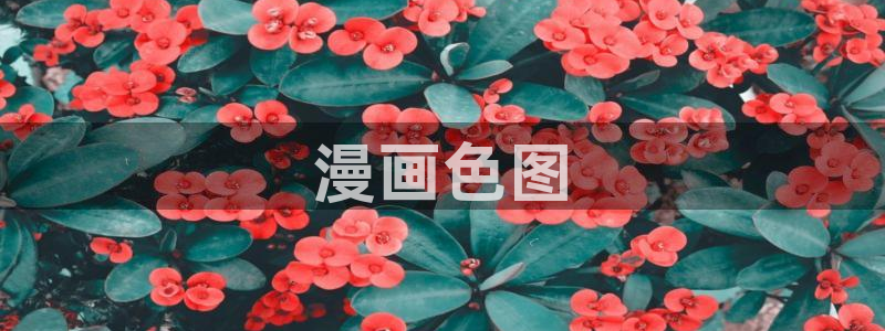 51漫画免费观看看漫画：漫画色图