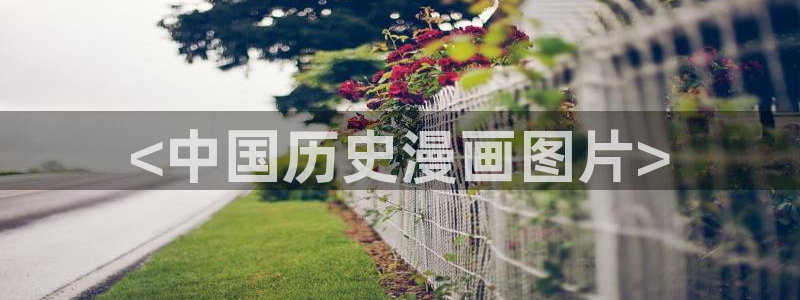 黄色51漫画免费在线观看：<中国历史漫画图片>